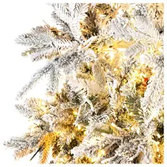 Albero di Natale Andorra Frosted Prelit – 250 cm Poly con 2400 LED Multicolore - alberi