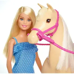 Barbie Bambola con Cavallo Playset FXH13 - collezionabili bambina