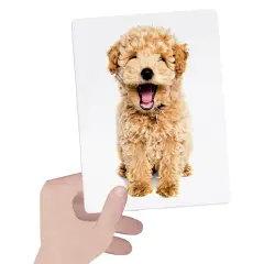 Flashcard Montessori Animali Tattili - Associazioni e tombole