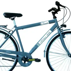 Bici per Adulti Bicicletta 28 Pollici Uomo City Bike Grigio - biciclette adulti