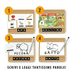 Enciclopedia dei Piccoli Montessori - Associazioni e tombole