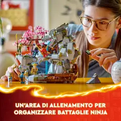 Lego Ninjago - Santuario della pietra del drago 71819 - lego