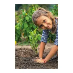 Science & Play My Greenhouse - science games