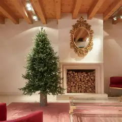 Albero Di Natale Pino Luxury 210x142 Cm - alberi