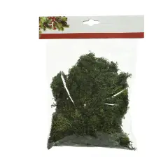 Muschio Decorativo Tillandsia Natalizio per Addobbi di Natale - presepi