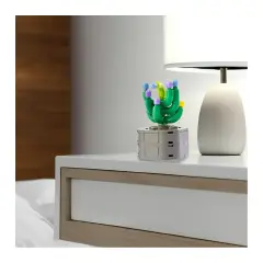 Mattoncini Pianta Esotica Sanseveria Velvet 78048 - tematiche