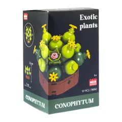 Mattoncini Pianta Esotica Conophytum 78042 - tematiche