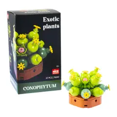 Mattoncini Pianta Esotica Conophytum 78042 - tematiche