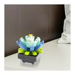 Mattoncini Pianta Esotica Echeveria 78047 - tematiche