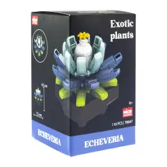 Mattoncini Pianta Esotica Echeveria 78047 - tematiche