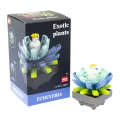 Mattoncini Pianta Esotica Echeveria 78047 - tematiche