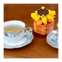 Mattoncini Pianta Esotica Sedum Adolphii 78043 - tematiche