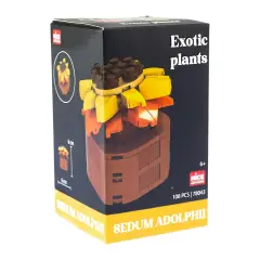 Mattoncini Pianta Esotica Sedum Adolphii 78043 - tematiche