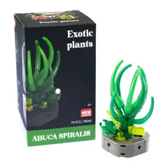 Mattoncini Pianta Esotica Abuca Spiralis 78045 - tematiche