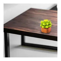 Mattoncini Pianta Esotica Aeonium Canariens 78044 - tematiche