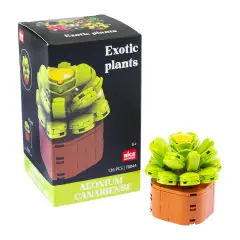 Mattoncini Pianta Esotica Aeonium Canariens 78044 - tematiche