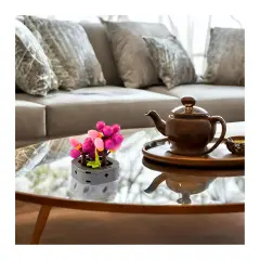 Mattoncini Pianta Esotica Nertera 78041 - tematiche