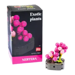 Mattoncini Pianta Esotica Nertera 78041 - tematiche