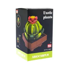 Mattoncini Pianta Esotica Ariocarpus 78051 - tematiche