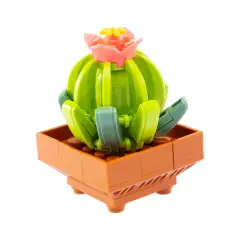 Mattoncini Pianta Esotica Ariocarpus 78051 - tematiche