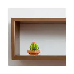 Mattoncini Pianta Esotica Ariocarpus 78051 - tematiche