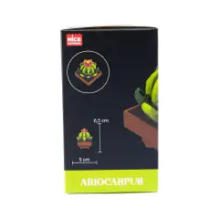 Mattoncini Pianta Esotica Ariocarpus 78051 - tematiche