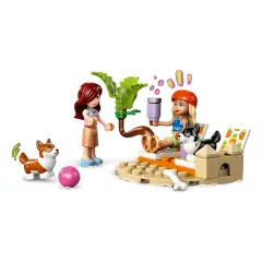 Lego Friends - Avventure Canine su Windskate e Sidecar 42641 - lego