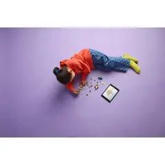 Lego Friends - Avventure Canine su Windskate e Sidecar 42641 - lego