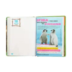 Diary Dated School 12 Months Standard WWF Photographic Lion - diaries