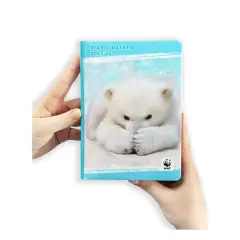 School Diary 12 Months Dated Standard WWF Photographic Bear - diaries