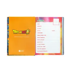 Dragon Ball Super 12 Months Blue School Diary - 320 Pages - diaries