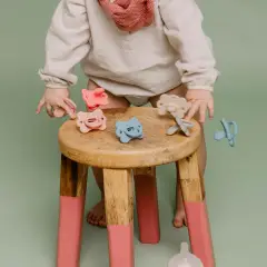 Colour Essence Succhietto In Silicone Butterfly 0/6m Azzurro - ciucci