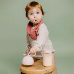 Colour Essence Succhietto In Silicone Butterfly 6/18m Rosa - ciucci