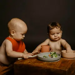 Colour Essence Set Svezzamento In Silicone Rosa - pappa