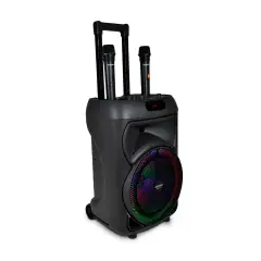 Cassa Trolley Wireless con 2 Microfoni e Luci RGB Integrate - Sistemi audio