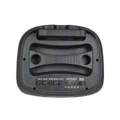 Cassa Trolley Wireless con 2 Microfoni e Luci RGB Integrate - Sistemi audio