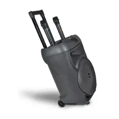 Cassa Trolley Wireless con 2 Microfoni e Luci RGB Integrate - Sistemi audio