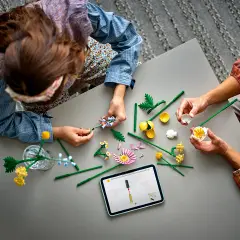 Lego Botanicals Bouquet di Fiori Estivi 10347 - lego