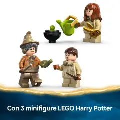 Lego Harry Potter Castello di Hogwarts: Lezione di Erbologia 76445 - lego