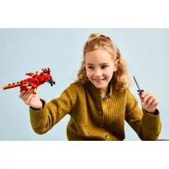 Lego Harry Potter Fanny: La Fenice di Albus Silente 76448 - lego