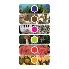 Scienza e Gioco - Explorer Scope Microscopio Smart AI - Microscopi