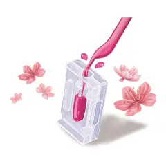 Scienza & Gioco Il Laboratorio Dei Rossetti - giochi scientifici