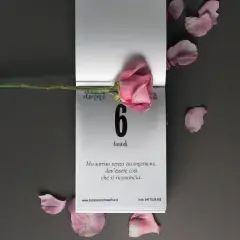 Calendario Filosofico Donne Ricarica 10x14 cm - agende