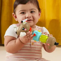 Fisher Price Pets Bassotto Gira e Gioca - Primi giochi