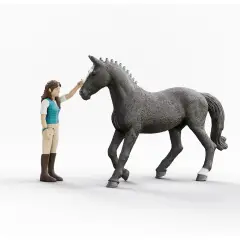 Schleich Horse Club Lisa & Storm - Animali