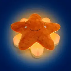 Chicco You&Me Star Luce Notturna Musicale con Peluche Lavabile - Primi giochi