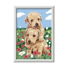 Creart Serie E: Golden Retriever Coccolosi - creatività