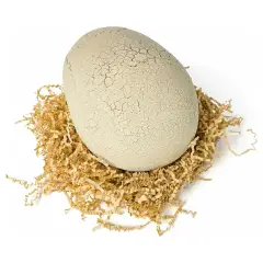 Primal Hatch Interactive Dinosaur Egg with Realistic Hatch - action figures and accessories