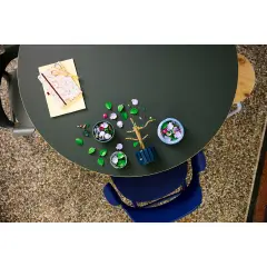 LEGO Botanicals Ibisco 10372 - lego