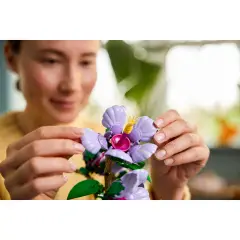 LEGO Botanicals Ibisco 10372 - lego